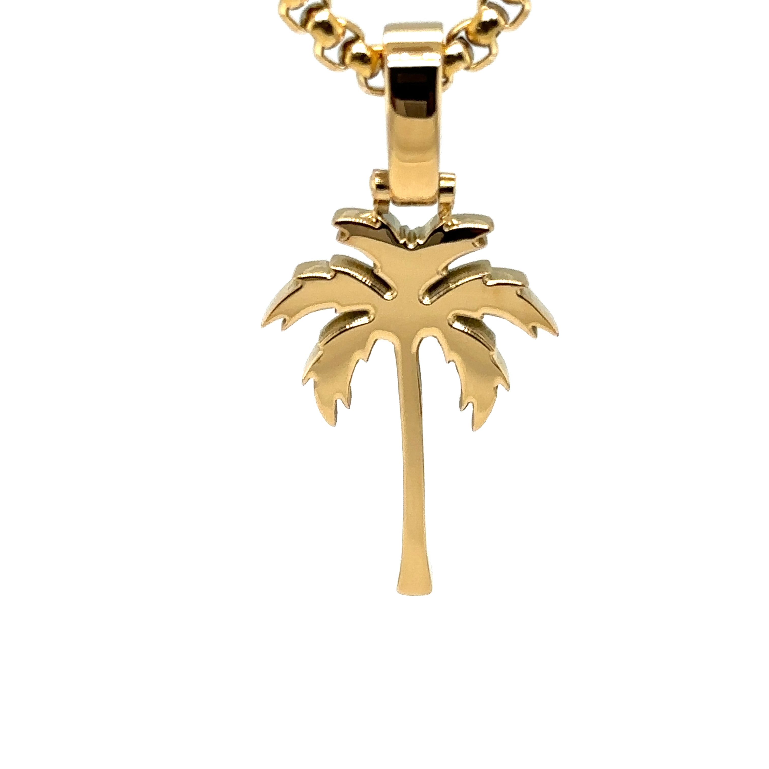 Palm Tree